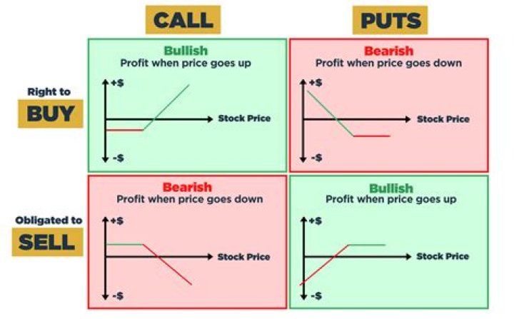 Where to Watch "Fly": Stream, Rent, or Buy Options