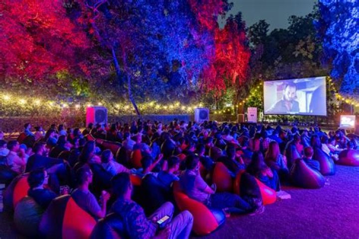 Why Movies. Rulez: Your Guide to Unforgettable Cinema Experiences Today